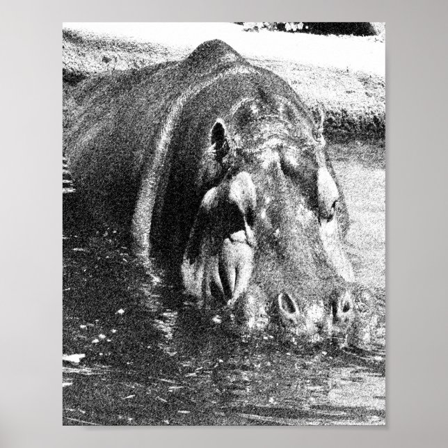 Póster Grainy Black White Hippo Art, Poster (Frente)