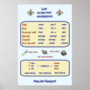 Póster Gramática francesa con adjetivos obsesivos
