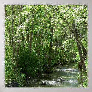 Póster Gran arroyo en verano......