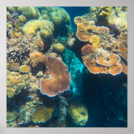 Póster Gran barrera de coral de arrecife - #3