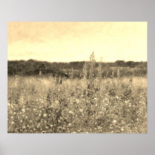 Póster Gran Botánica Vintage de Campo Dorado Floral Verdo