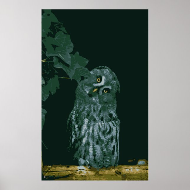 Póster Gran Búho Gris Poster (Frente)