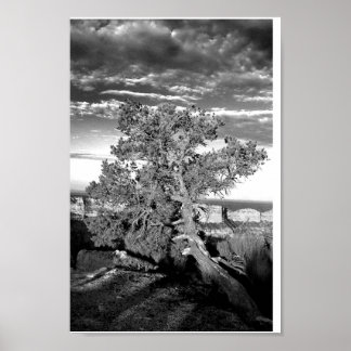 Póster Gran Cañón 03