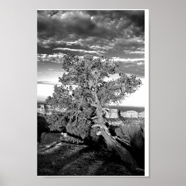 Póster Gran Cañón 03 (Frente)