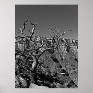 Póster Gran Cañón #1