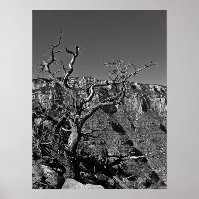 Póster Gran Cañón #1 (Frente)
