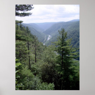 Póster Gran Cañón de Pennsylvania