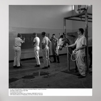 Póster Gran Clínica Animal, UC Davis, 1966