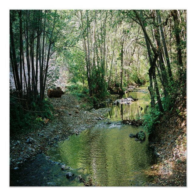 Póster Gran Creek... (Anverso)