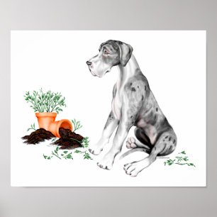 Póster Gran Dane Naughty Pup MerleB UC