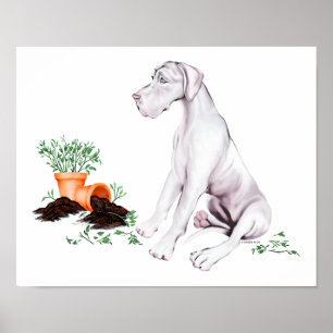 Póster Gran Dane Naughty Pup White UC