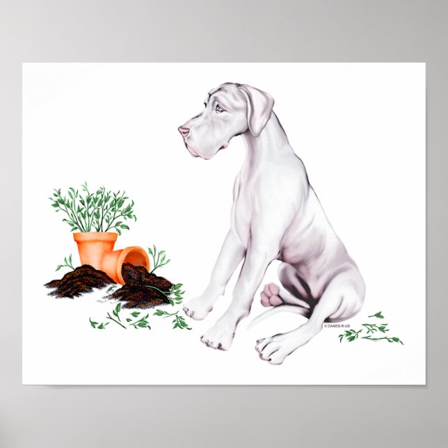 Póster Gran Dane Naughty Pup White UC (Frente)