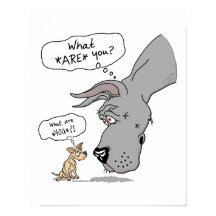 Gran dane y azul chihuahua