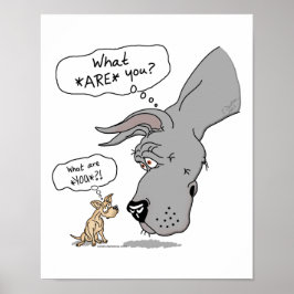 Póster Gran dane y azul chihuahua