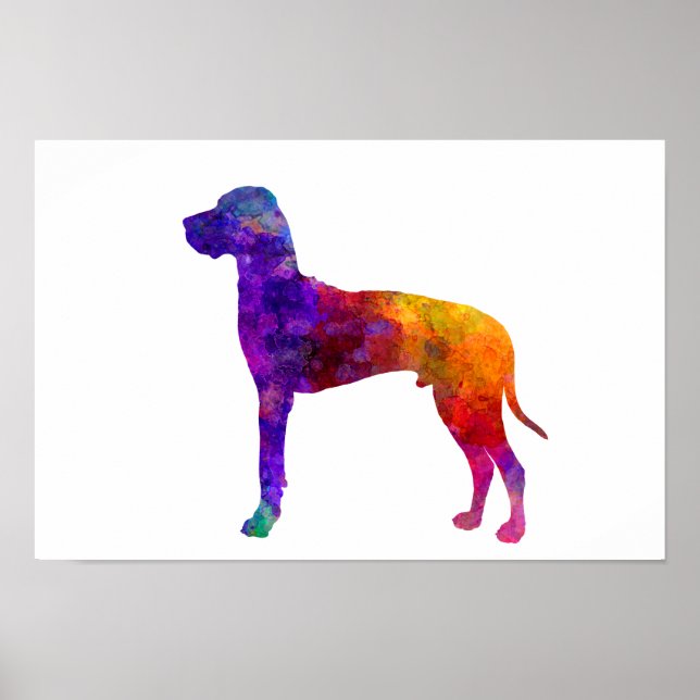 Póster Gran danés 01 en acuarela-2 (Frente)