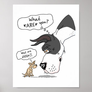 Póster Gran Danés y manto de Chihuahua