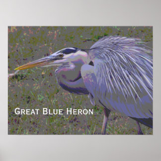 Póster Gran desafío de la garza azul