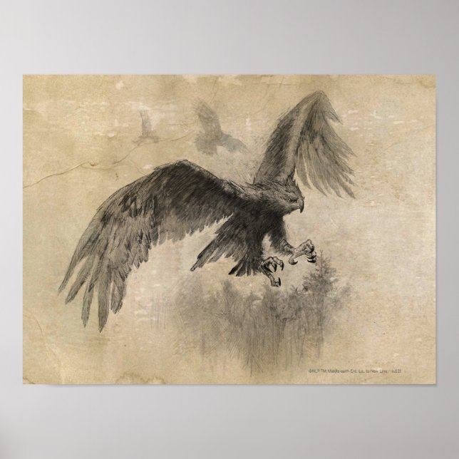 Póster Gran Esbozo de Águilas (Frente)