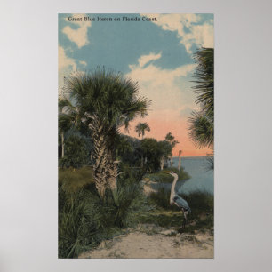 Póster Gran garza azul en la playa costera de Florida