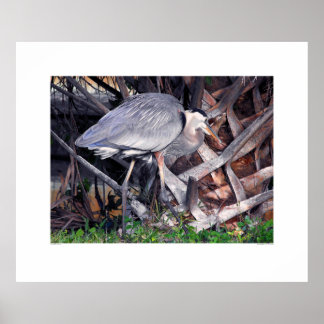 Póster Gran garza azul y árbol de palma