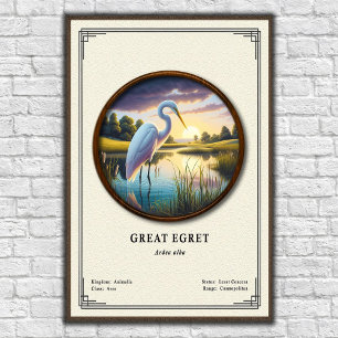 Póster Gran Garza Serie de Zoología