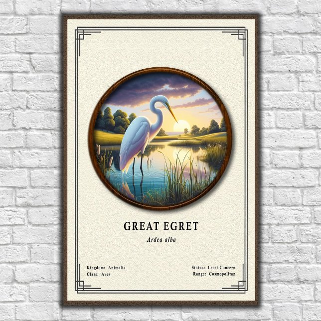 Póster Gran Garza Serie de Zoología (Subido por el creador)