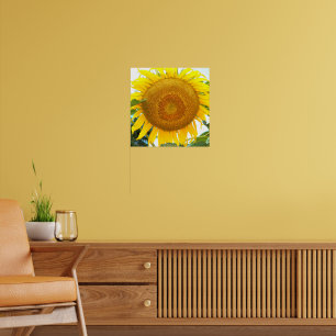 Póster Gran Girasol Amarillo Floral
