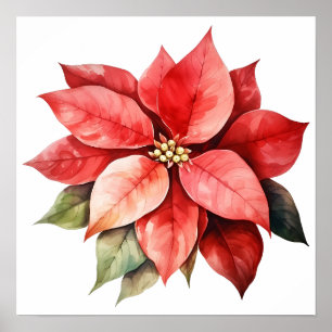 Póster Gran Hermosa Flor Roja Navidad