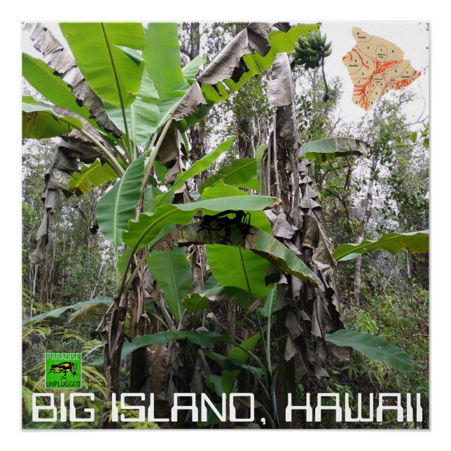 PÓSTER GRAN ISLA HAWAII (Anverso)