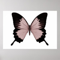 Gran mariposa roja y negra