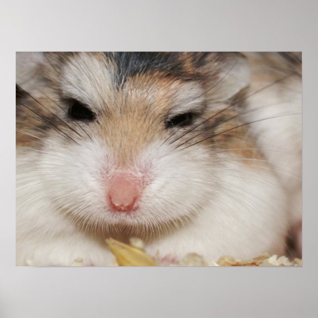 Póster Gran mirada - Tac - Poster (Frente)