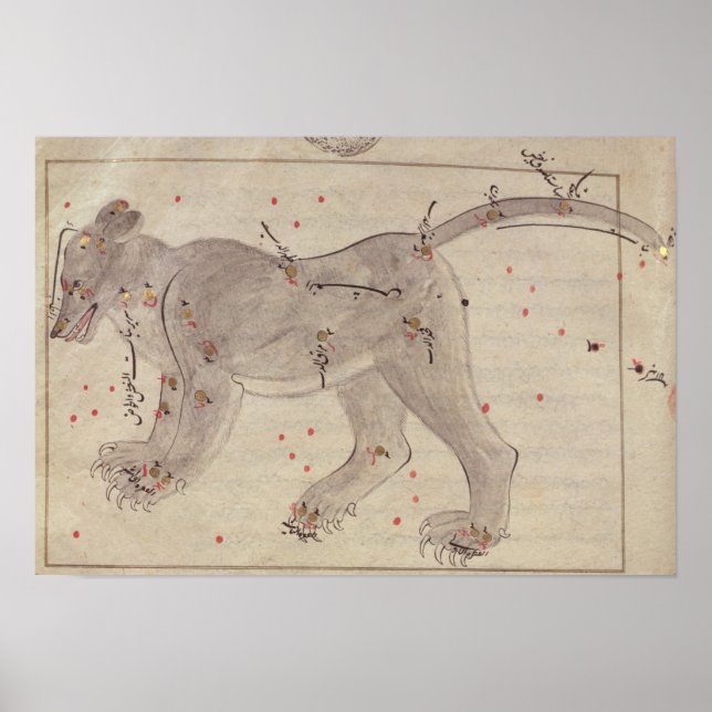 Póster Gran oso, del libro de las estrellas después de El (Frente)