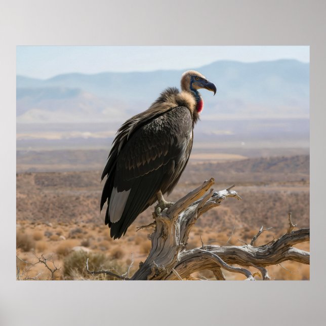 Póster Gran Pájaro Hermoso (Frente)