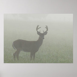 Póster Gran Parque Nacional de las Montañas Smoky, Tenne