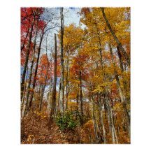 Gran Parque Nacional de Montañas Ahumadas Foliage