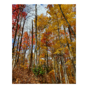 Póster Gran Parque Nacional de Montañas Ahumadas Foliage