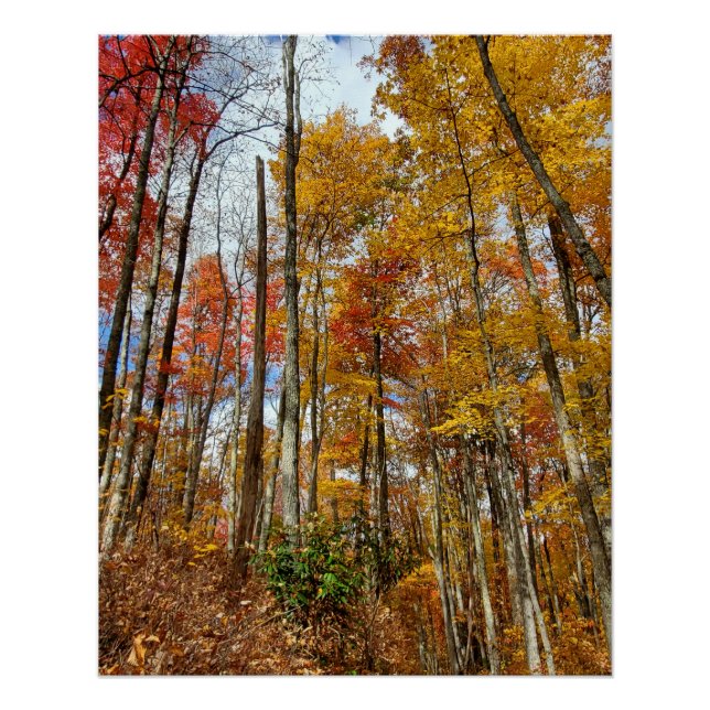 Póster Gran Parque Nacional de Montañas Ahumadas Foliage (Anverso)