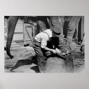 Póster Gran pedicura, años 1910