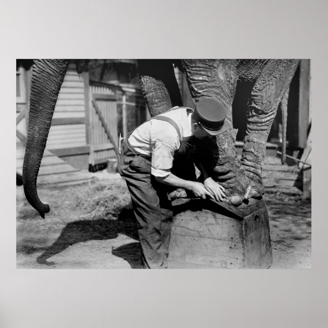 Póster Gran pedicura, años 1910 (Frente)