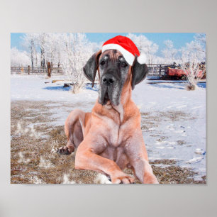 Póster Gran Perro De Azulejos Sentado En Gorra De Navidad