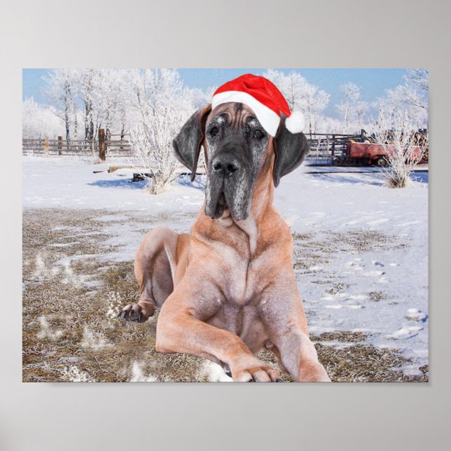 Póster Gran Perro De Azulejos Sentado En Gorra De Navidad (Frente)
