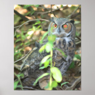 Póster Gran pintura de fotos de aceite de búho de aleta