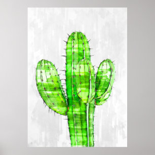 Póster Gran planta de cactus
