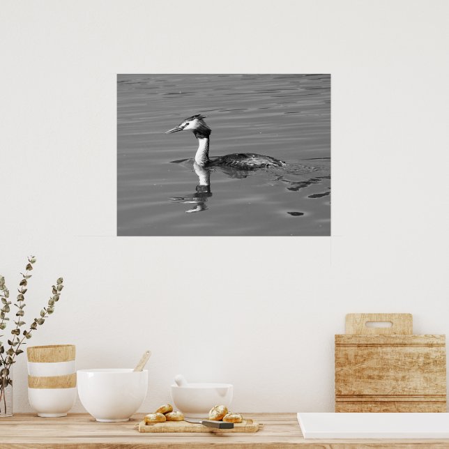 Póster Gran Poster Crested Grebe (Cocina)