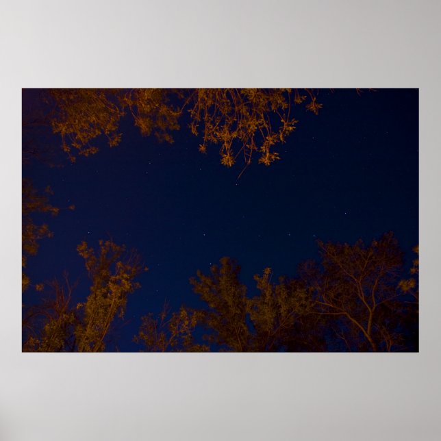 Póster Gran poster de cuentagotas (Frente)