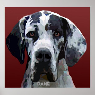 Póster Gran Poster de Dane Harly Face