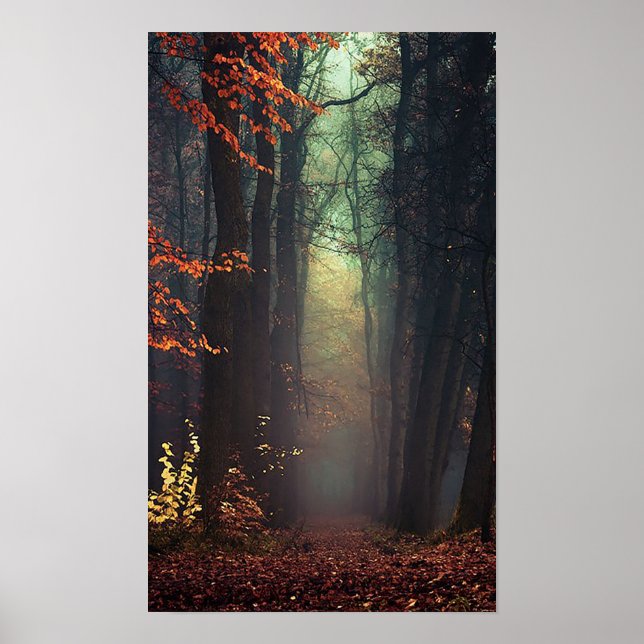 Póster Gran Poster de la Naturaleza (Frente)