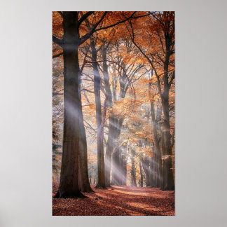 Póster Gran Poster de la Naturaleza