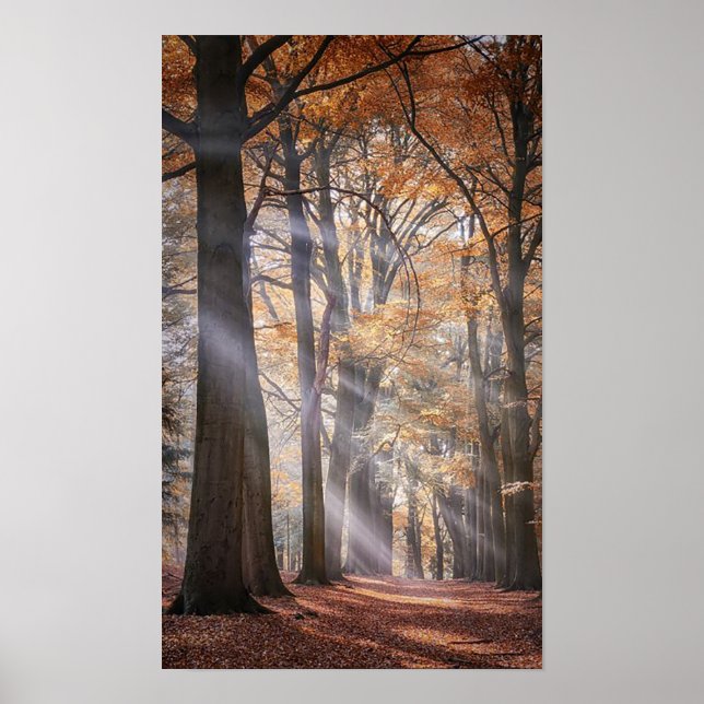Póster Gran Poster de la Naturaleza (Frente)