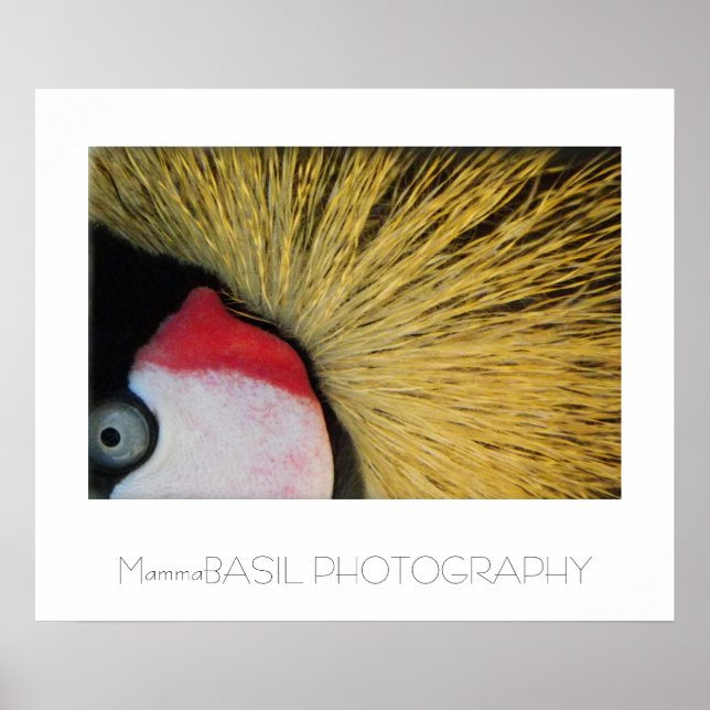 Póster ¡Gran Poster de Ojos! (Frente)